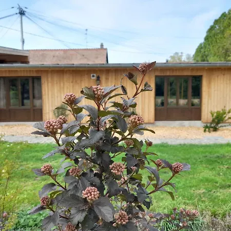 Les Du Chateau De Werde Gospodarstwo wiejskie Matzenheim