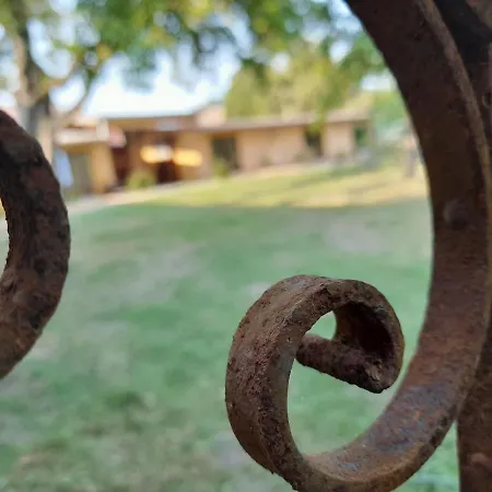 Les Du Chateau De Werde * Matzenheim