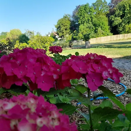 Les Du Chateau De Werde Matzenheim