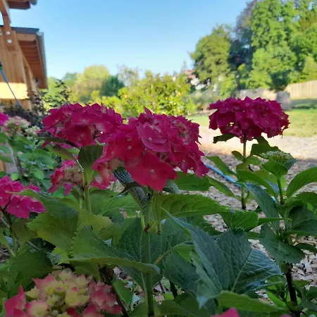 Les Du Chateau De Werde Gospodarstwo wiejskie Matzenheim