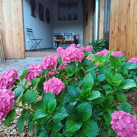 Les Du Chateau De Werde *