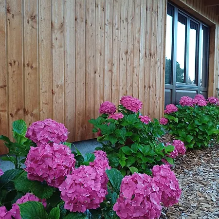 Les Du Chateau De Werde Gospodarstwo wiejskie *