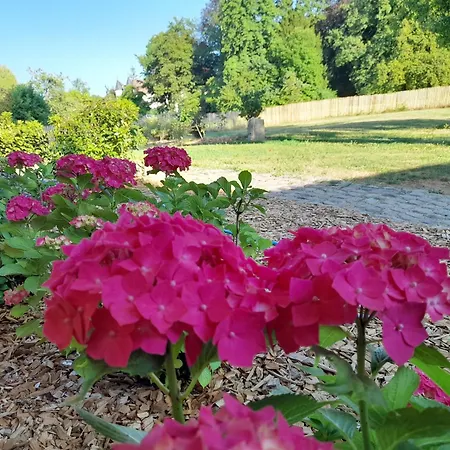 Les Du Chateau De Werde Matzenheim